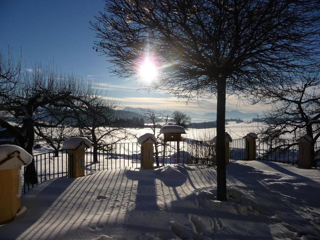 Ferienhotel Herzog Neumarkt am Wallersee Bagian luar foto