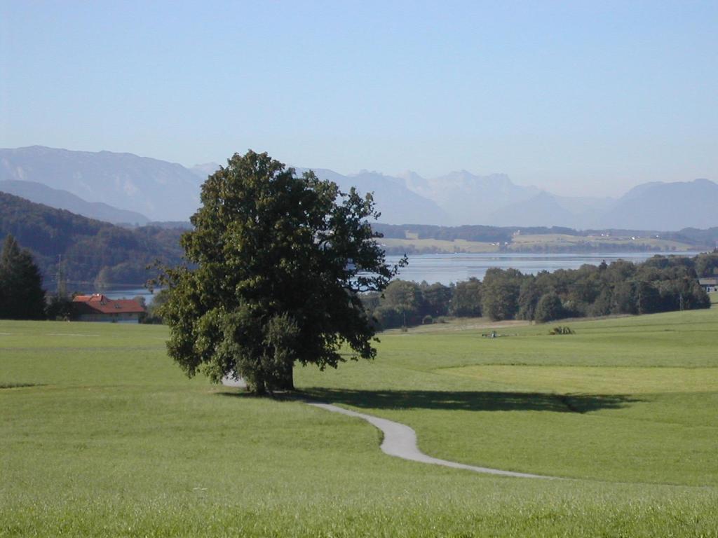 Ferienhotel Herzog Neumarkt am Wallersee Bagian luar foto