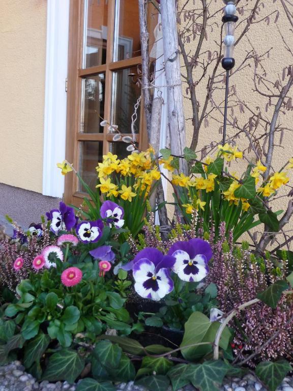 Ferienhotel Herzog Neumarkt am Wallersee Bagian luar foto